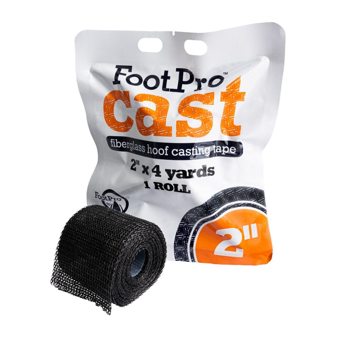 FootPro Cast 1