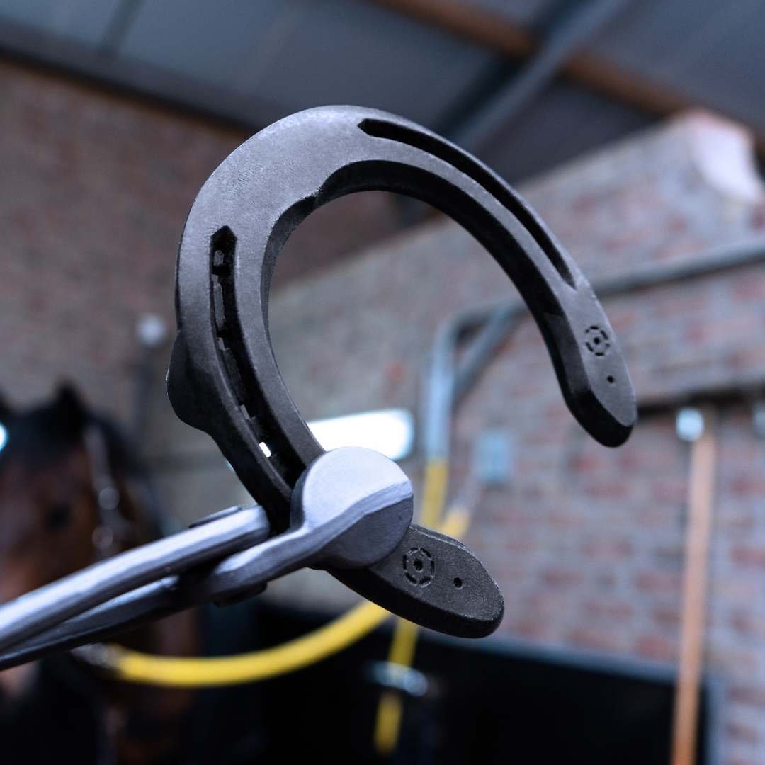 Steel Comfort Sport